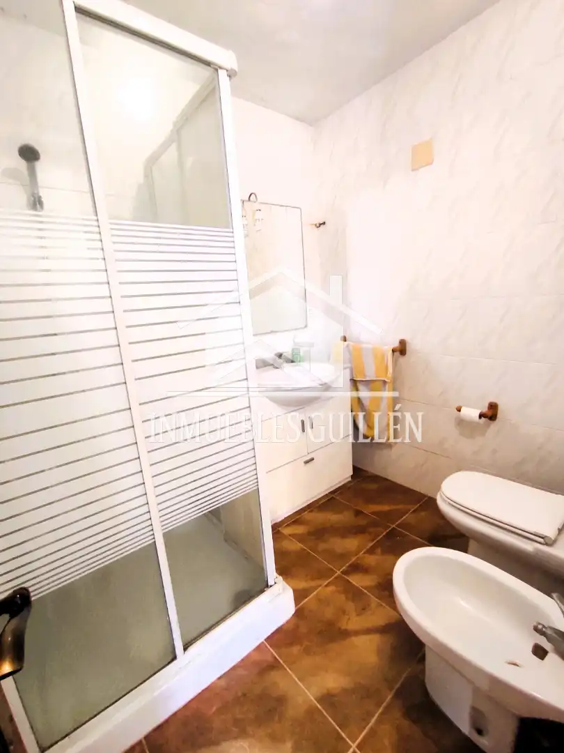 Bany de Casa o xalet en venda en Berja amb Aire condicionat, Jardí privat i Terrassa