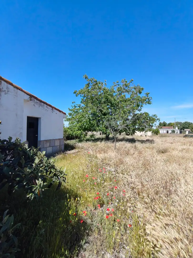 Casa rústica en venda a Pedanías - Extrarradio, imagen 14