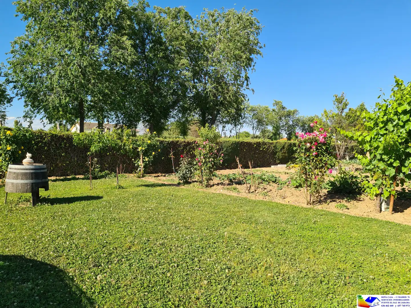 Jardín de Casa o chalet en venta en Fuente El Saz de Jarama con Aire acondicionado, Calefacción y Jardín privado