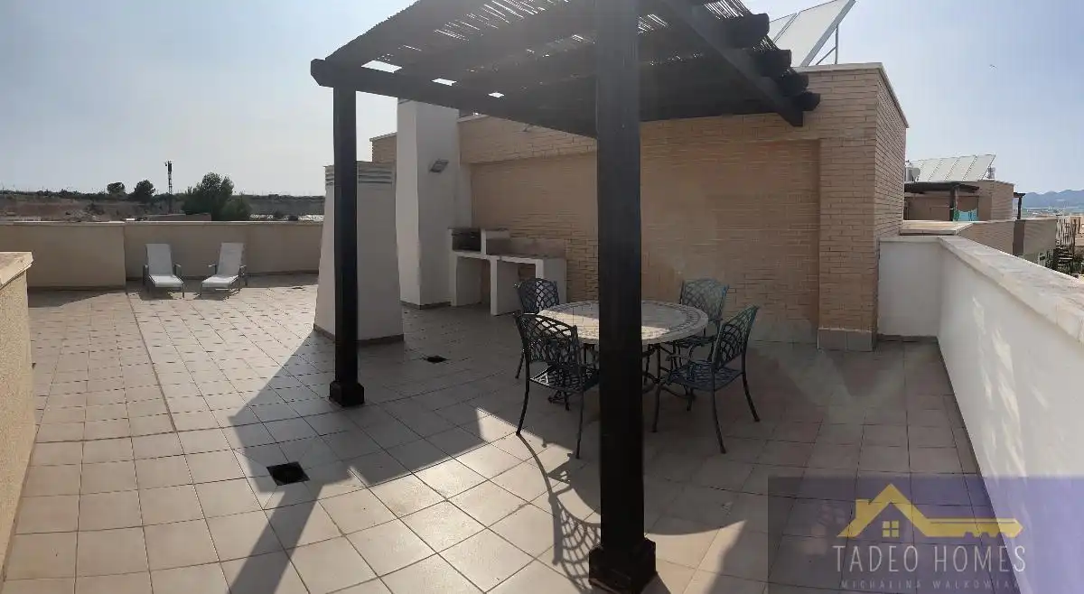 Apartament amb terrassa en venda a Pino Nuevo 6, imagen 37