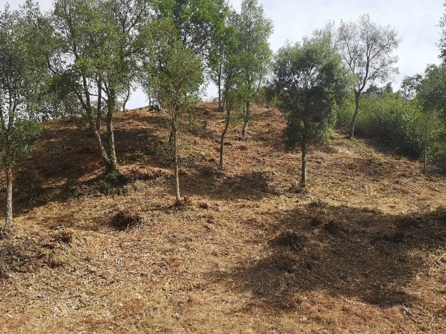 Residential land for sale in Caldes de Malavella, imagen 2