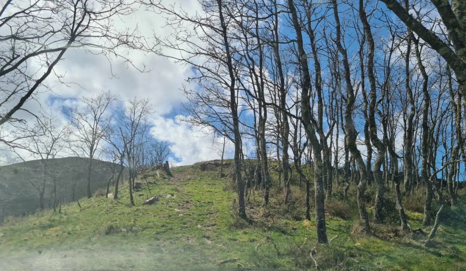 Vista exterior de Casa o xalet en venda en Rionansa amb Jardí privat