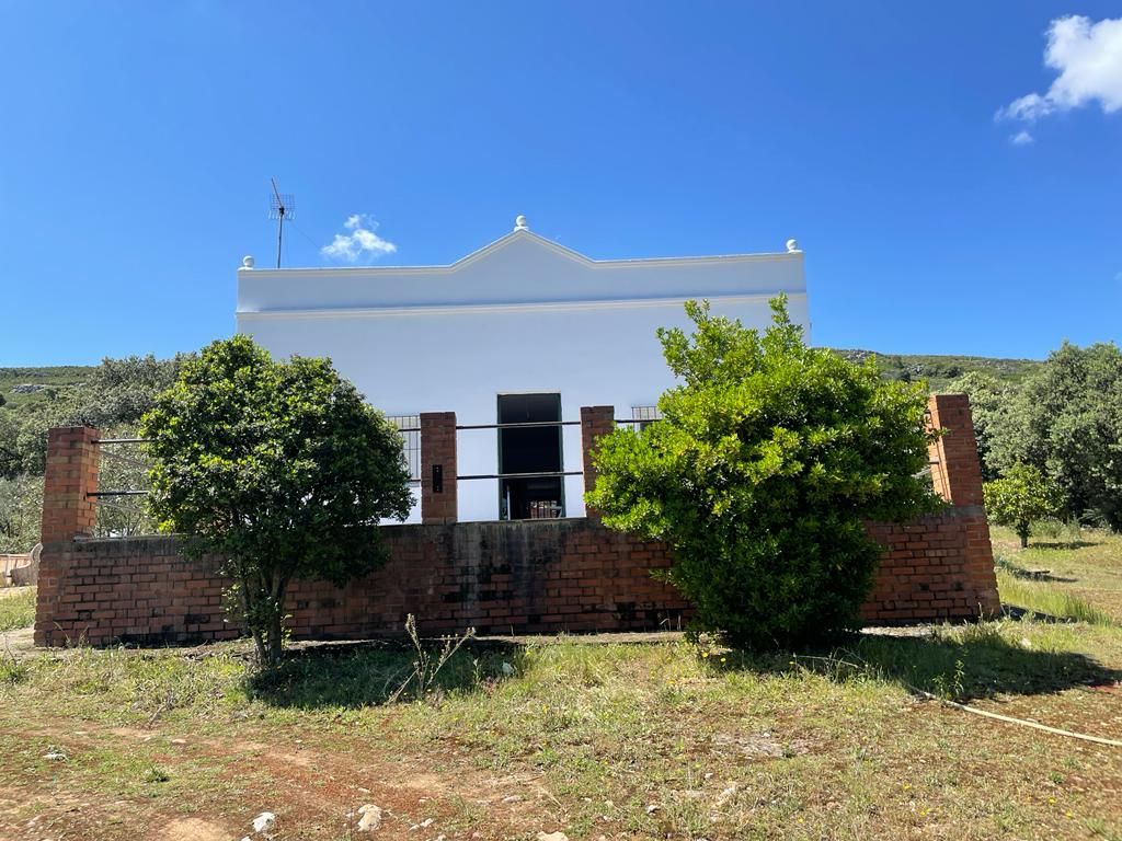 Exterior view of House or chalet for sale in Calamonte