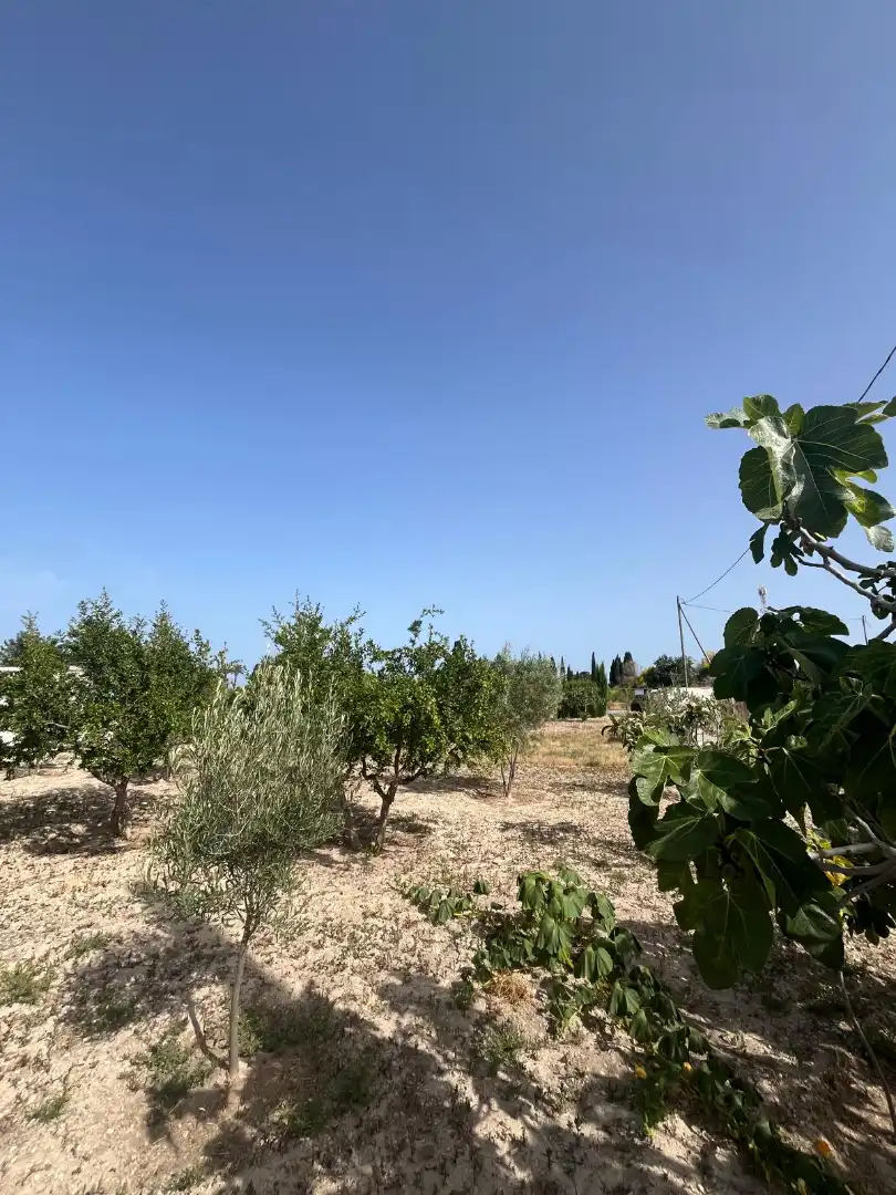 Rural land for sale in Avenida de la Cruz, imagen 3
