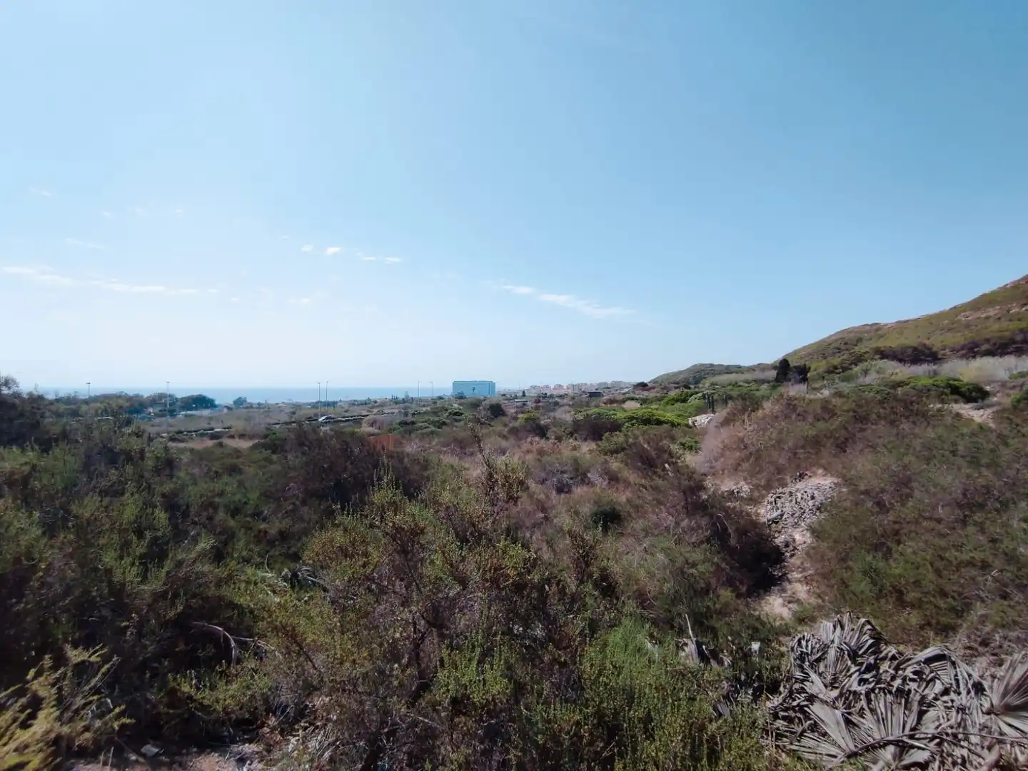 Terreno rustico in vendita a Partida los secanos, imagen 2