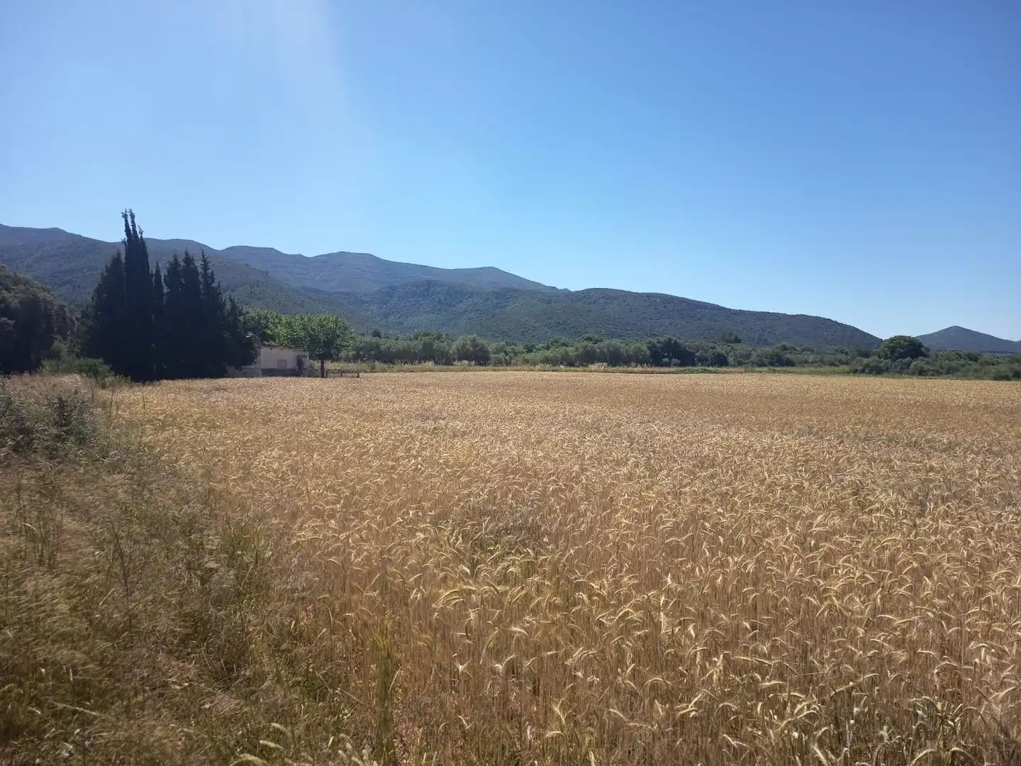 Casa rustica in vendita a La Foia de Les Ventalles, imagen 5