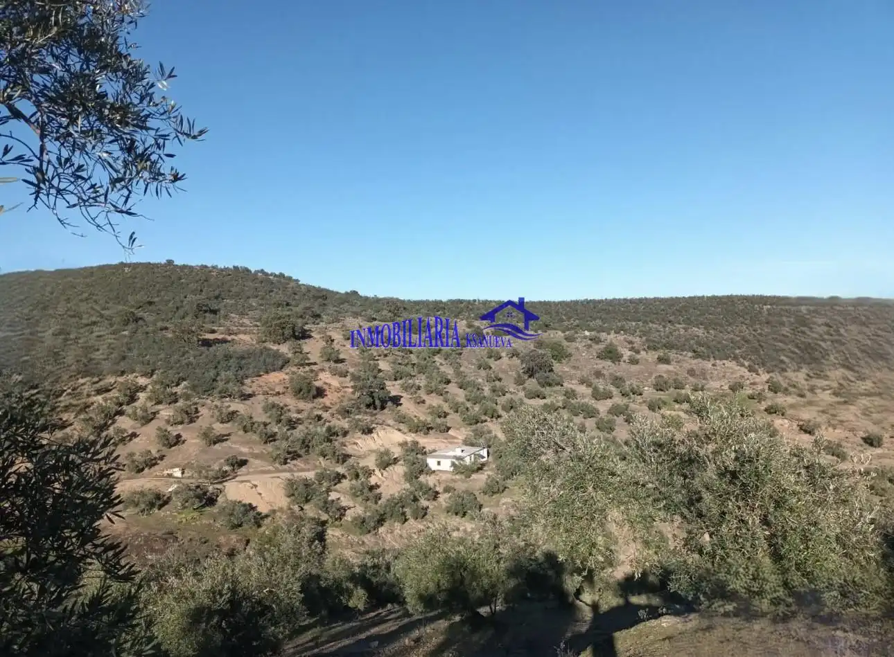 Country homes for sale in Adamuz, Córdoba