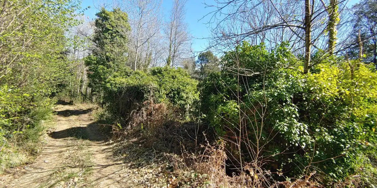 Residencial en venda en Susqueda