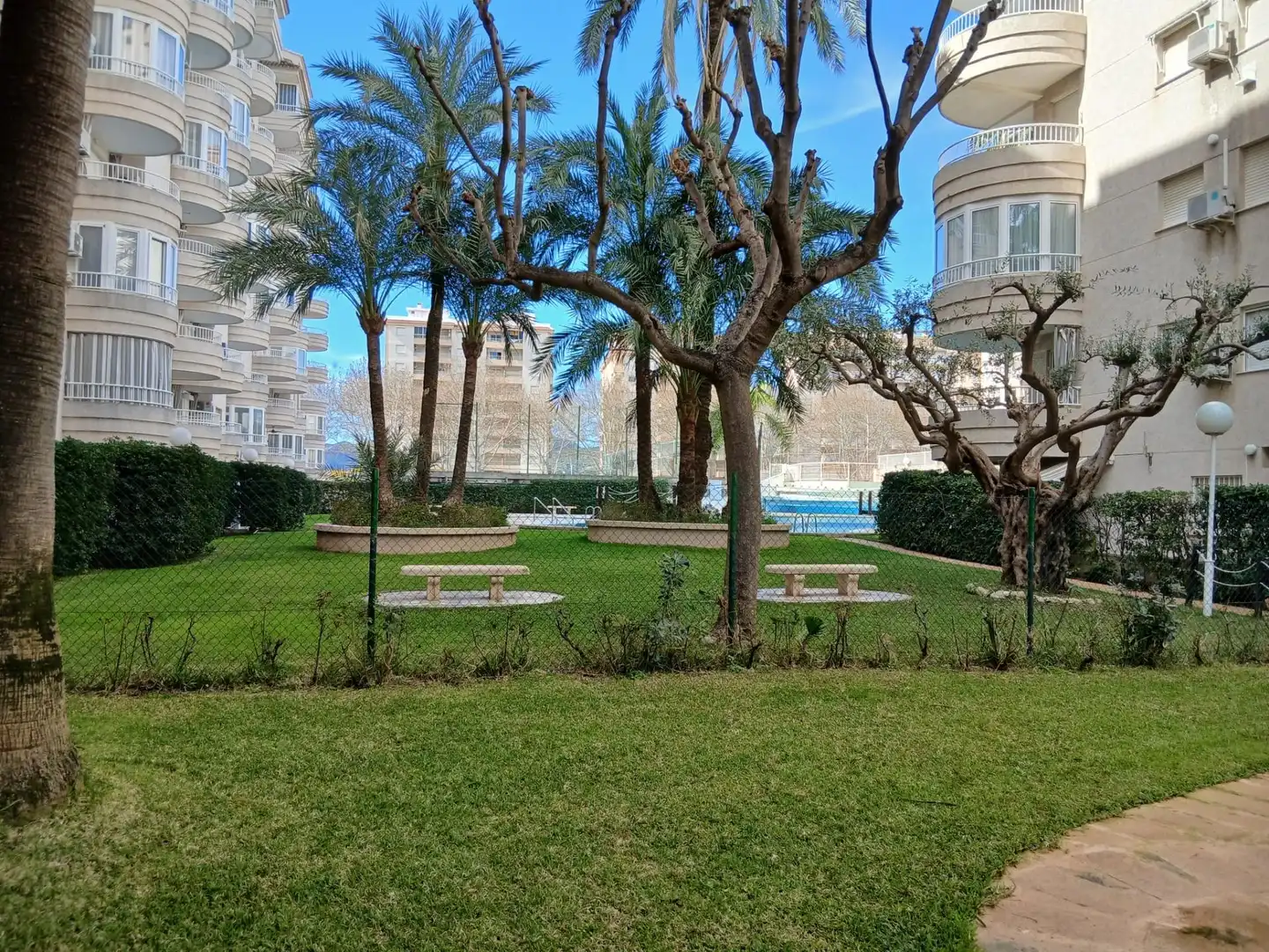 Mini appartamento con piscina in affitto a Playa de Gandia, imagen 29
