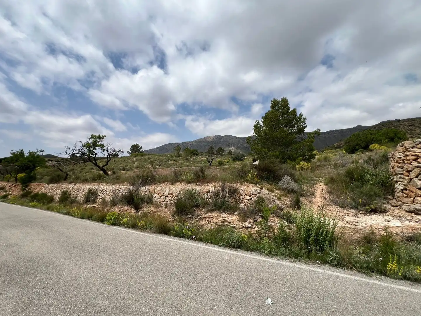 Terreno rústico en venta en Hondón de las Nieves / El Fondó de les Neus, imagen 9