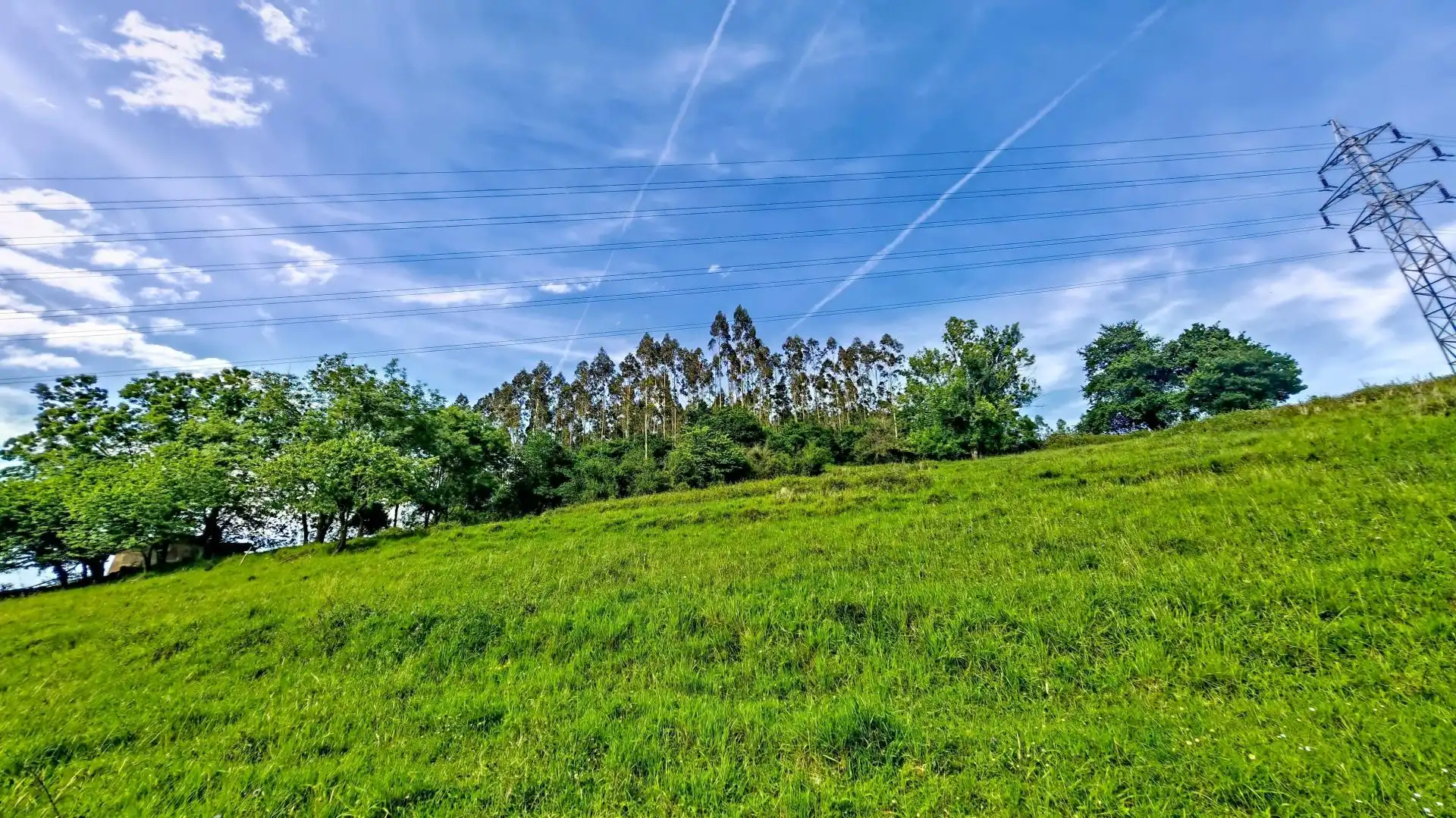 Rural land for sale in Grado, imagen 13