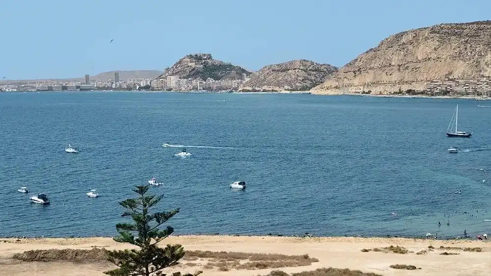 Vista exterior de Pis en venda en Alicante / Alacant amb Aire condicionat, Calefacció i Jardí privat