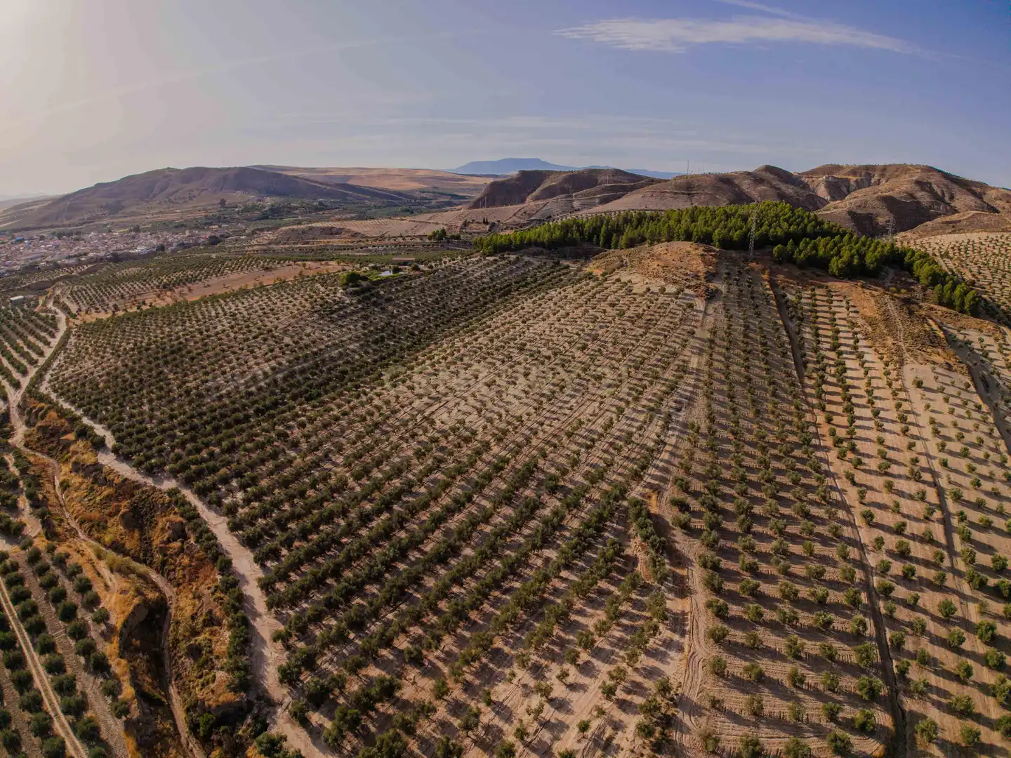 Terreno rústico en venta en 472M+GF La Malahá, Spain