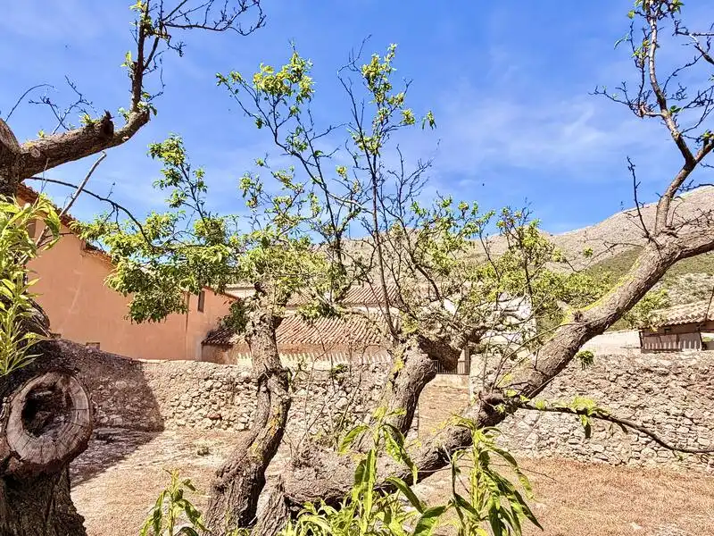 Casa rústica con jardín en venta en MA-156 1, imagen 41