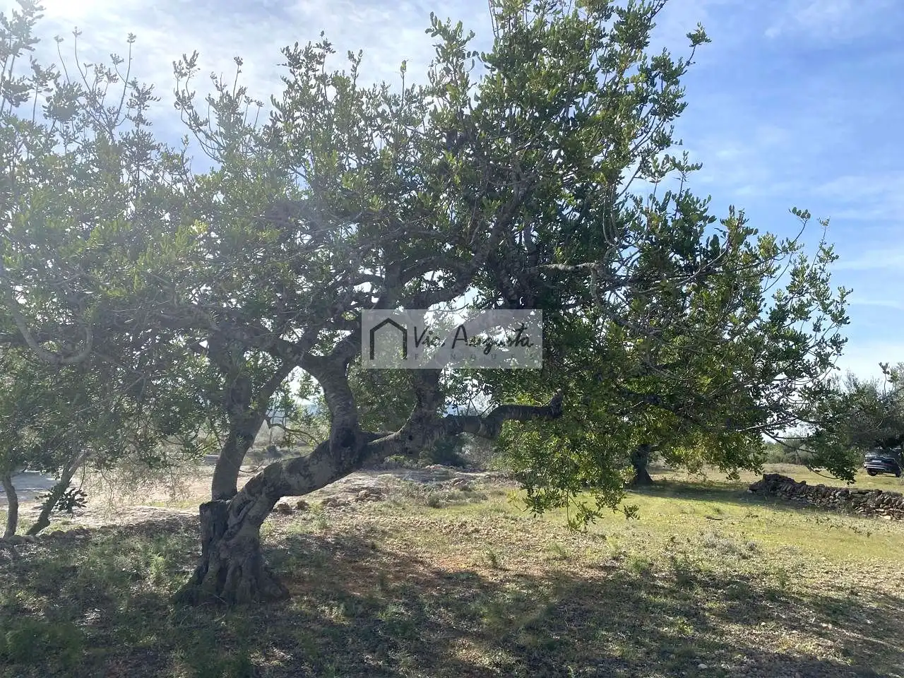 Terreno rustico in vendita a Planas, imagen 20