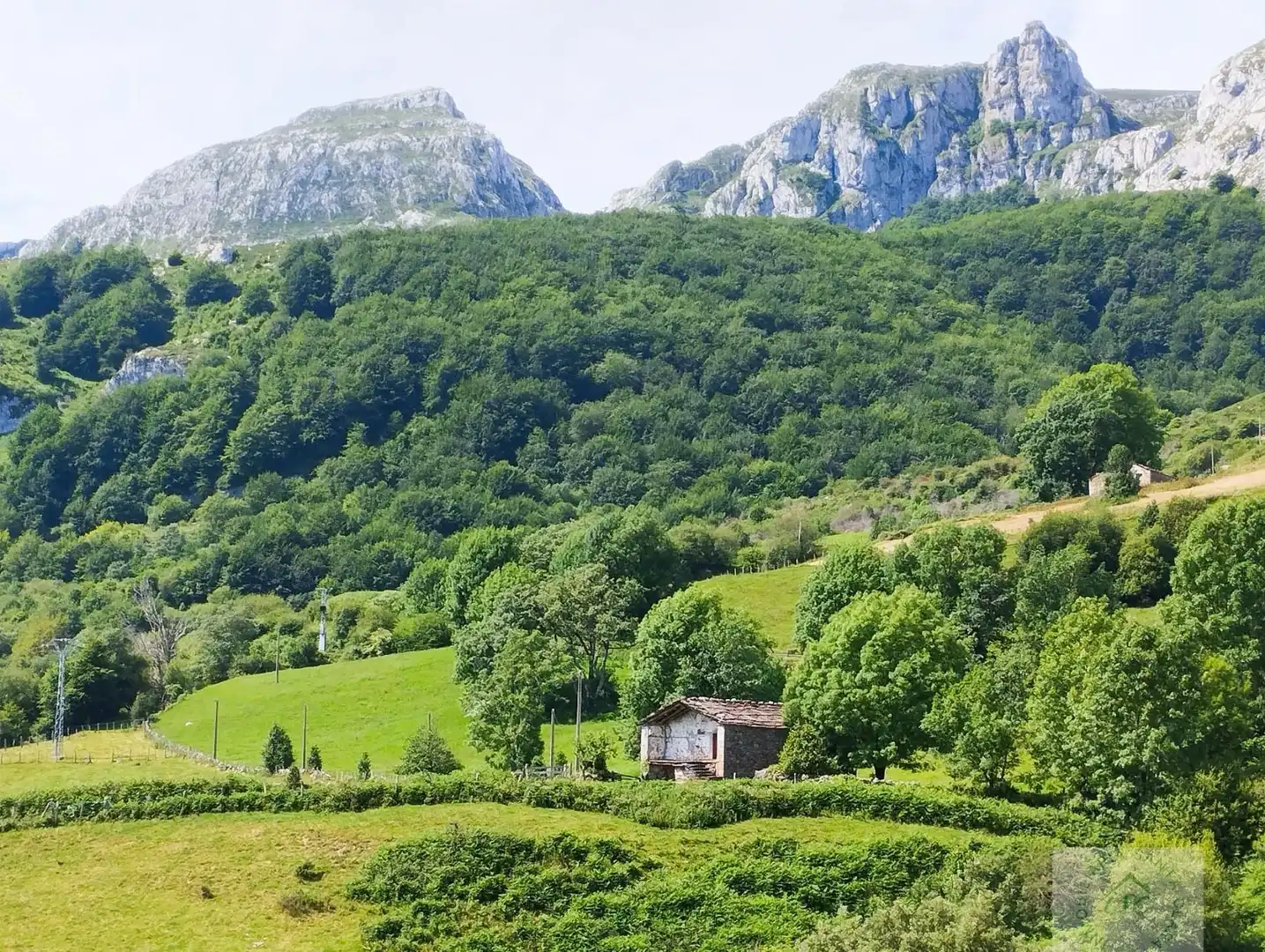 Lands and plots for sale in Reocín, imagen 2