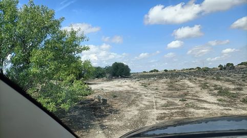 FINCA RUSTICA A PIE DE CARRETERA EN ORGAZ, immagine 3