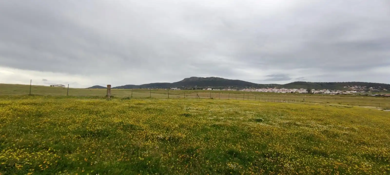 Terreni e lotti in vendita a Sierra de Fuentes, imagen 9