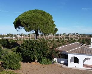 Exterior view of Country house for sale in Sanlúcar la Mayor  with Air Conditioner and Private garden