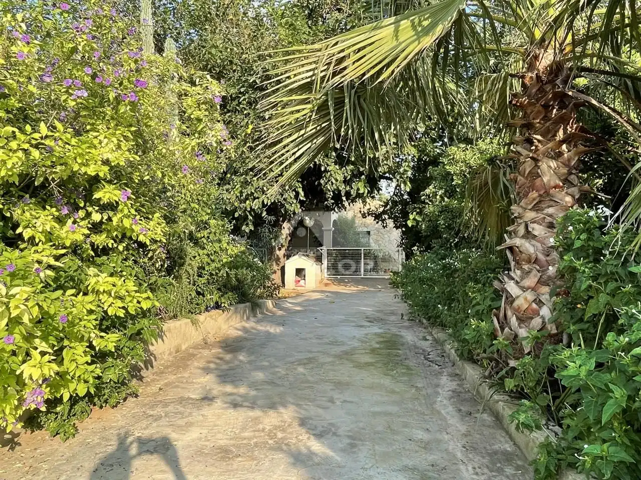 Jardín de Finca rústica en venta en La Pobla Llarga con Aire acondicionado, Jardín privado y Terraza