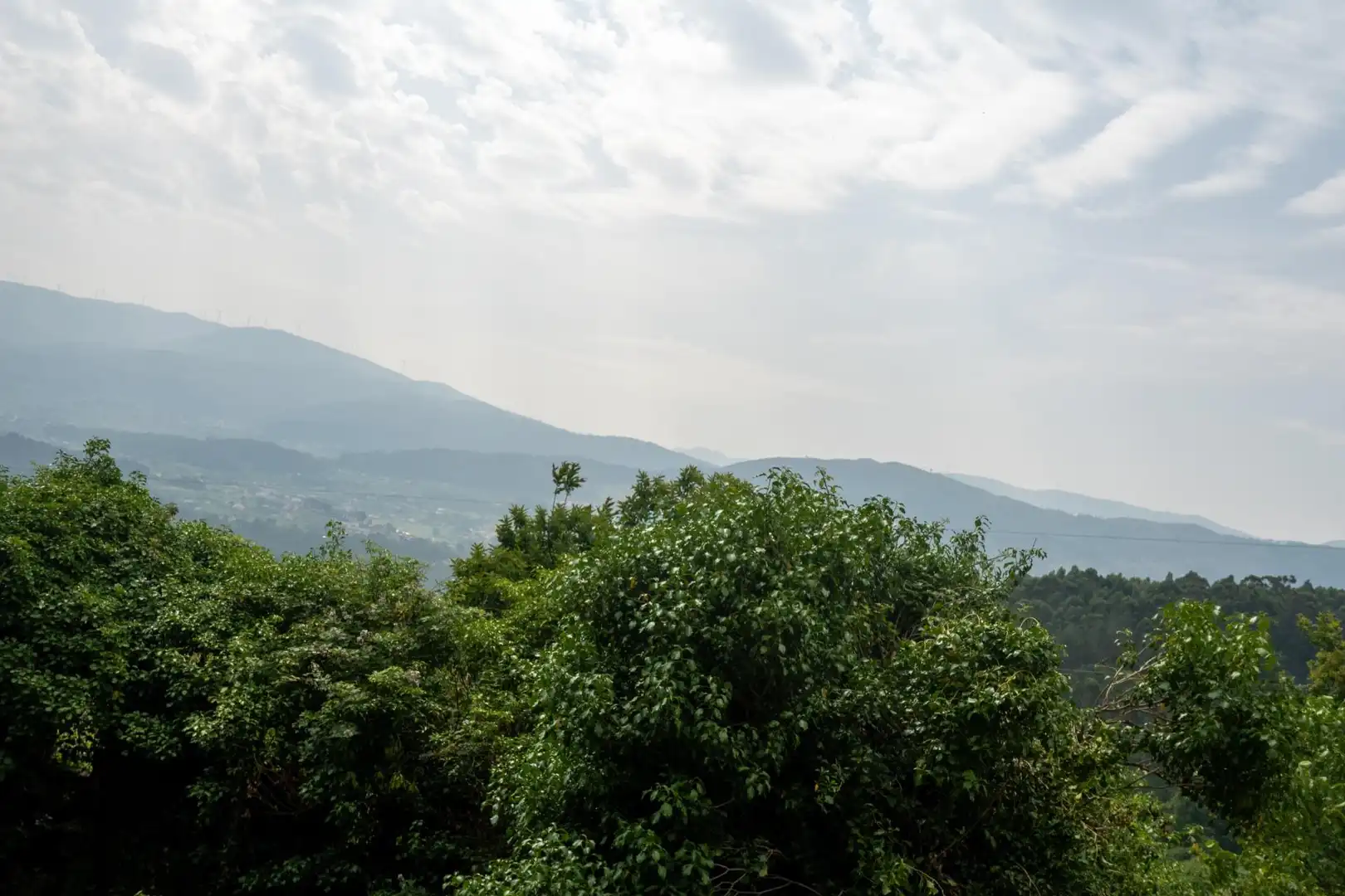 Finca rústica en venda en Arbo amb Jardí privat