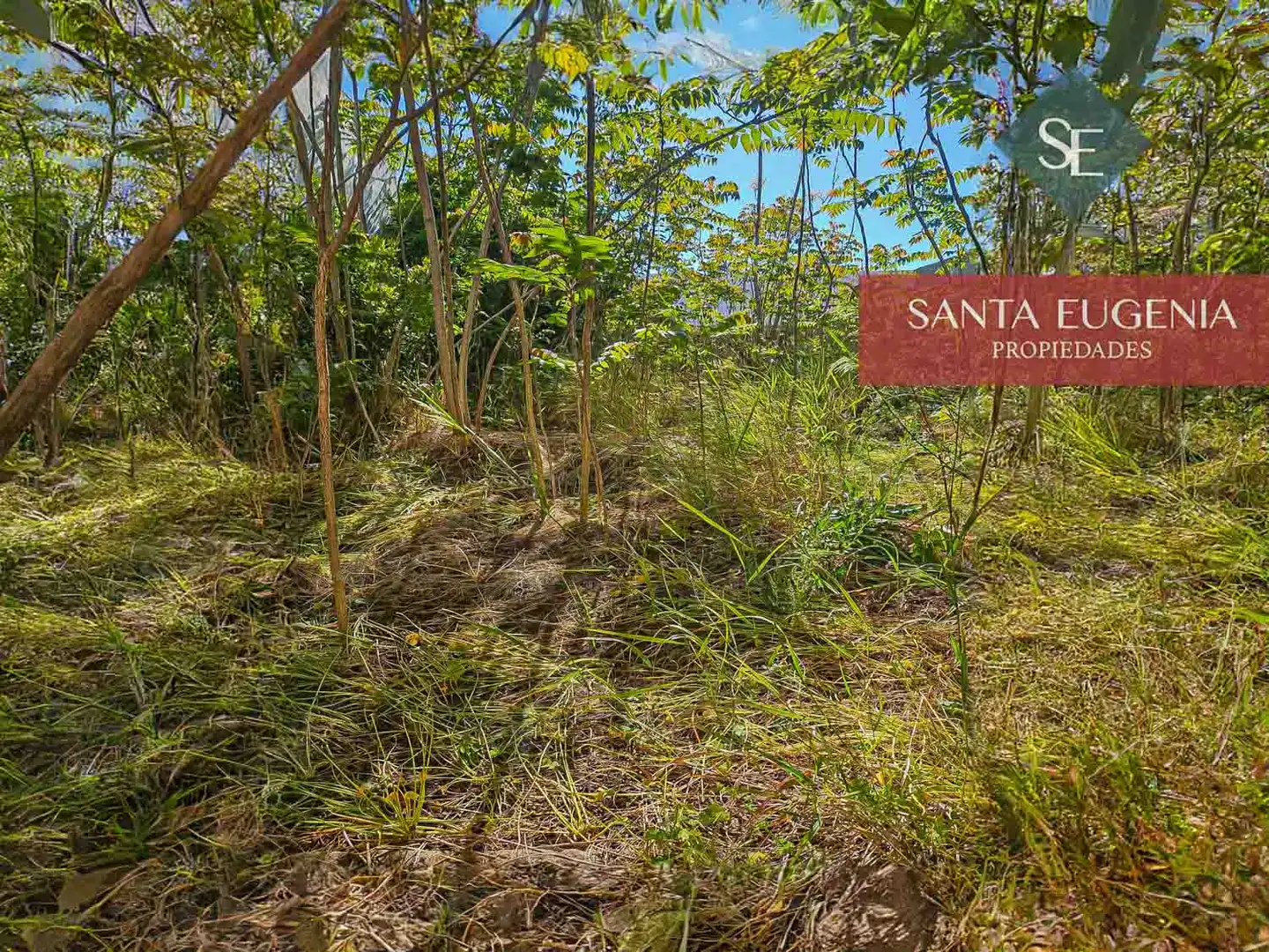 Terreno residencial en venta en Maó ciutat