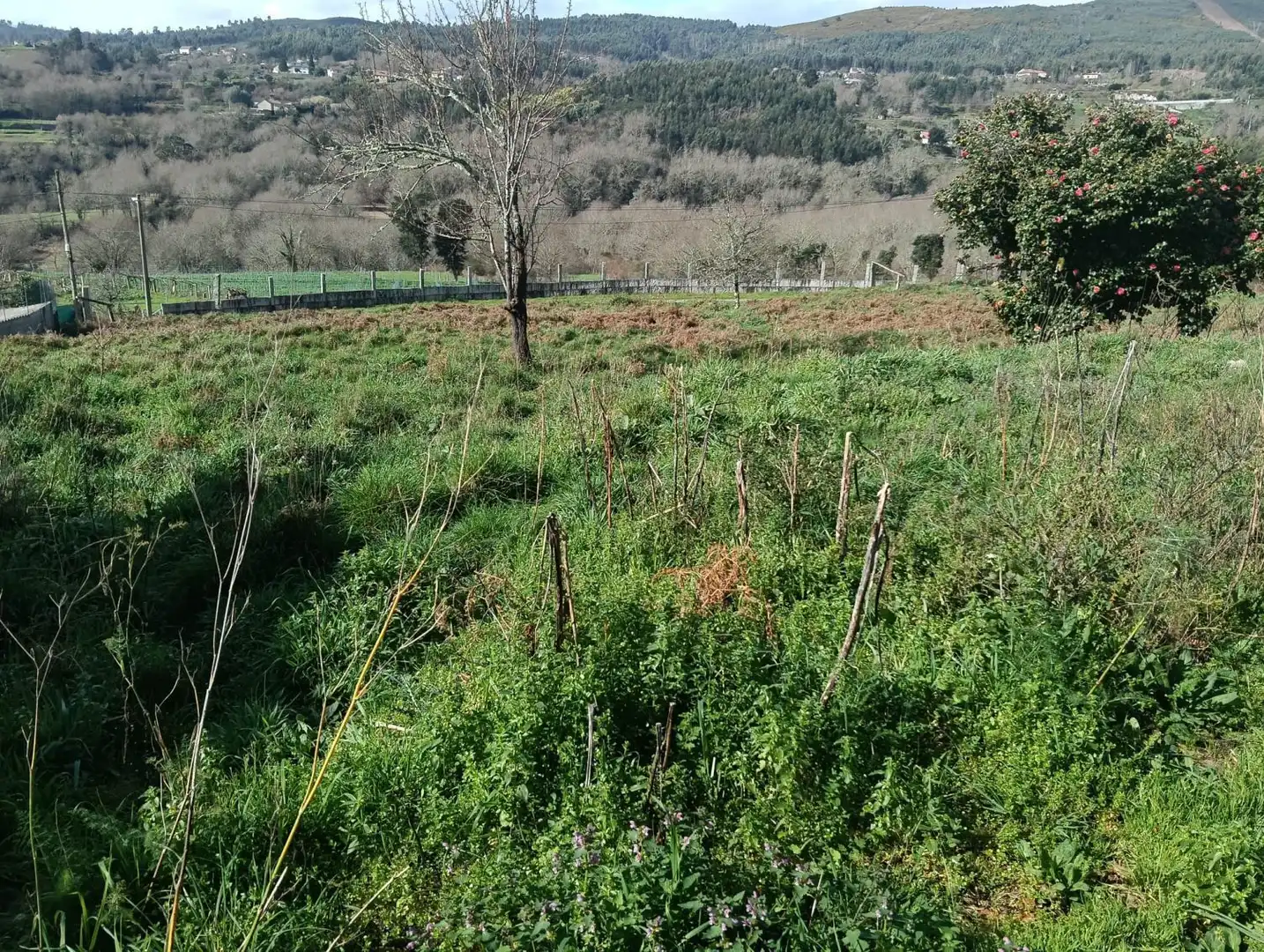 House for sale in Camino Barro, imagen 20