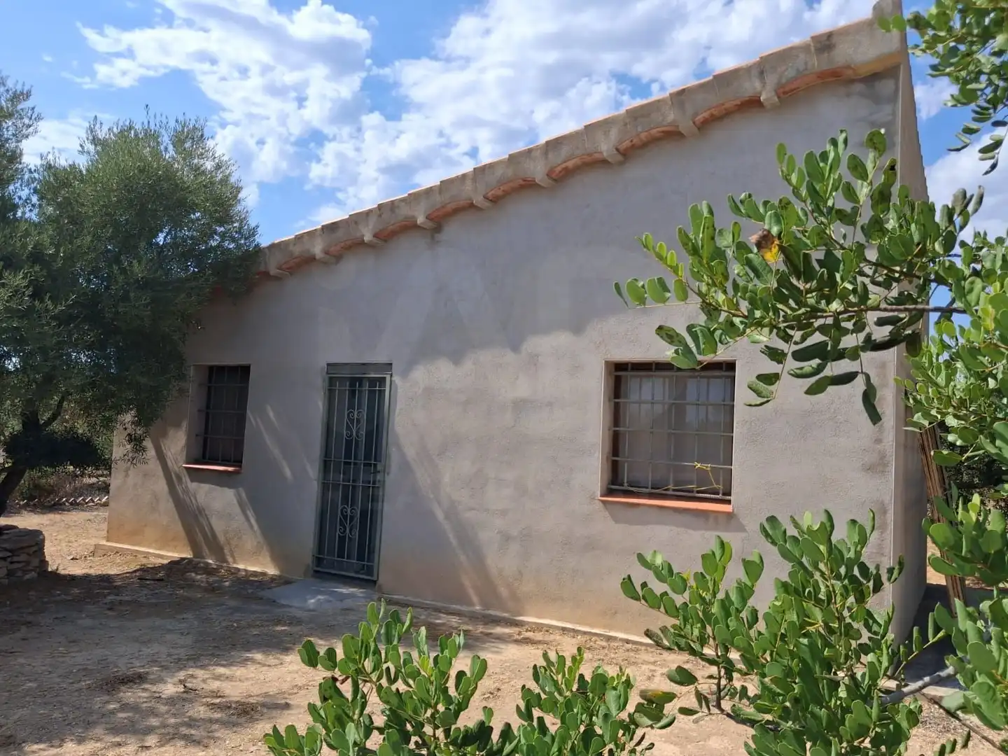 Terrain rustique à vendre à El Perelló, imagen 4