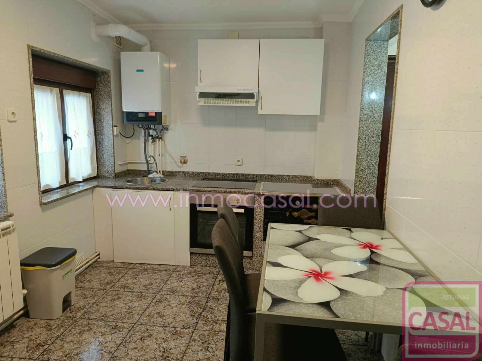 Cuina de Pis de lloguer en Langreo amb Calefacció i Moblat