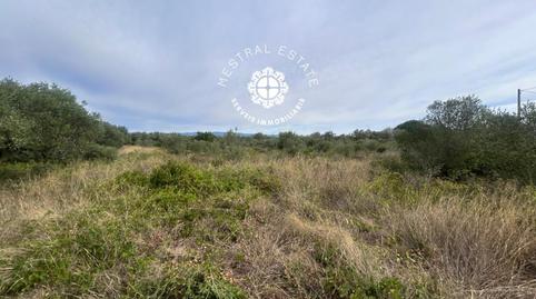 Photo 2 of Land for sale in 8, Jardins de Vilafortuny- Mas d'en Bosch, Cambrils