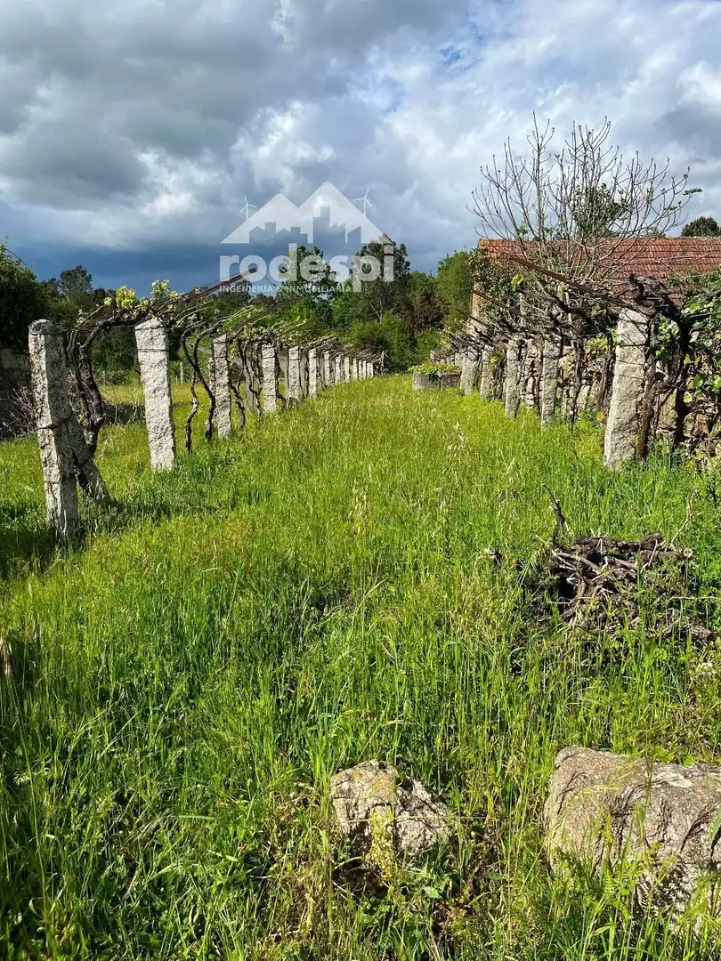 Terreny rústic en venda a Salvaterra de Miño, imagen 2