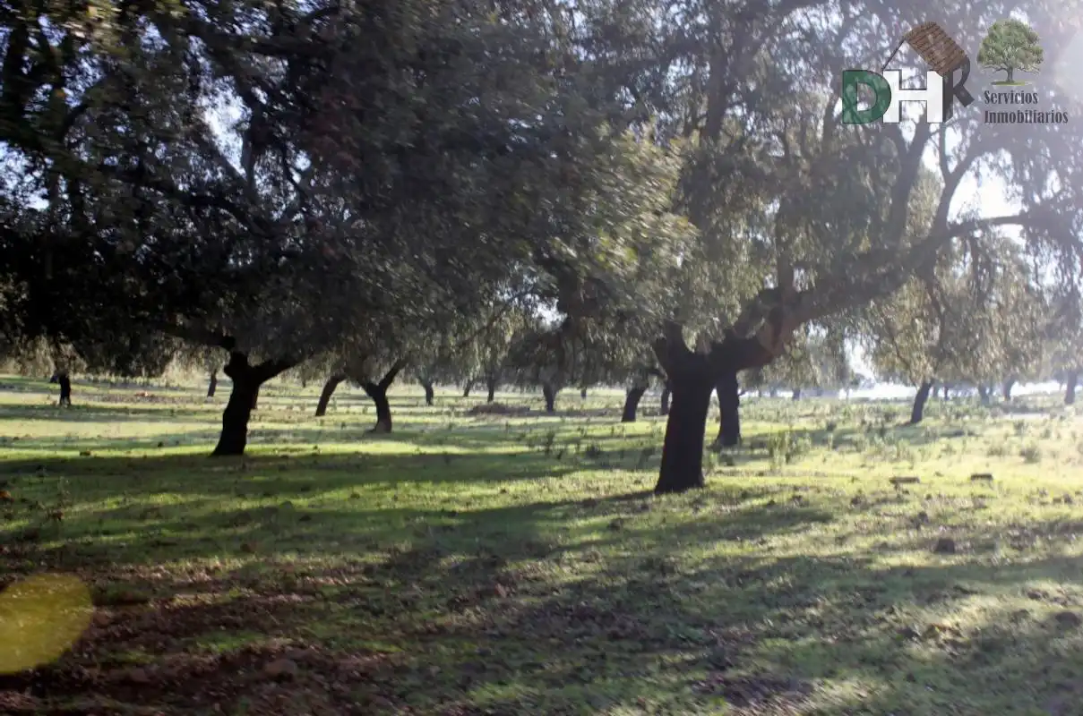 Terreni e lotti in vendita a Ruta de la Plata, imagen 7