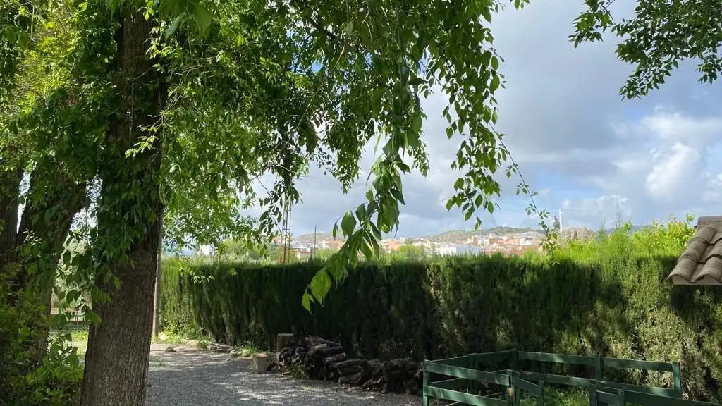 Vista exterior de Finca rústica en venta en Baena con Jardín privado, Terraza y Piscina