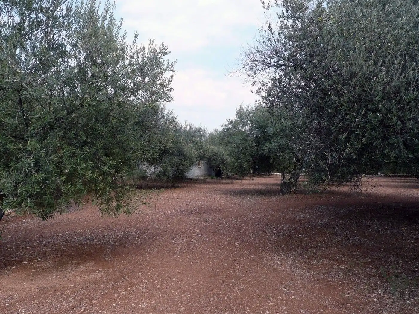 Terreno en venta en Ulldecona