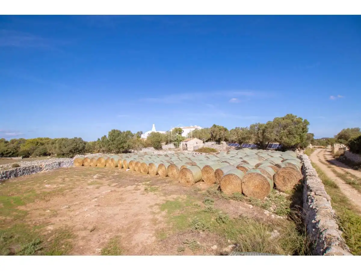 Country homes for sale in Son Bou - Sant Jaume