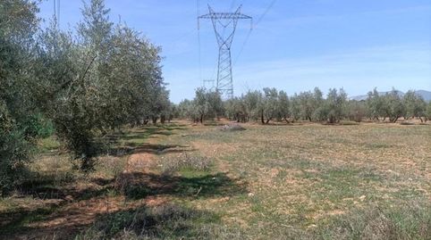 Foto 3 de Finca rústica en venta en Polígono la Zanja, Albolote, Granada