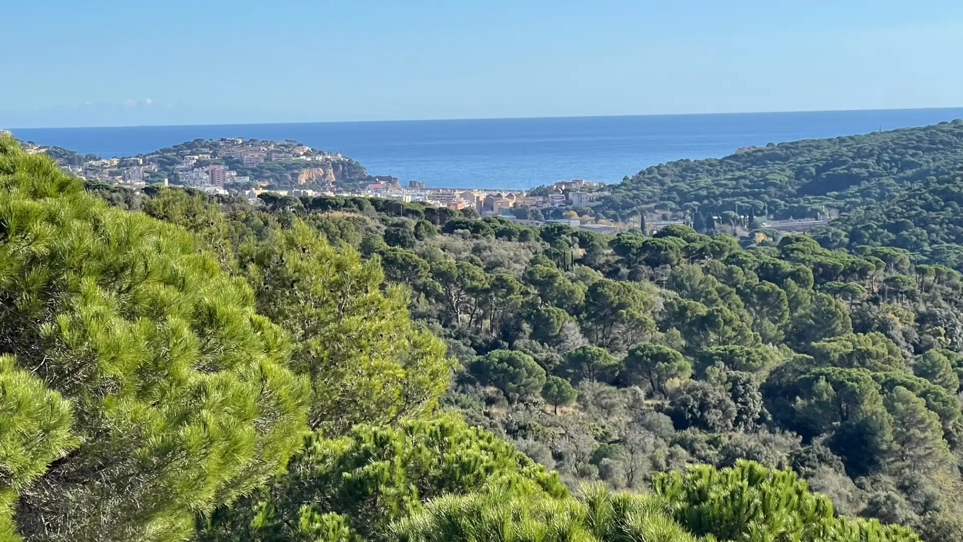 Casa o xalet en venda a Mas Trempat - Sant Amanç - Casa Nova