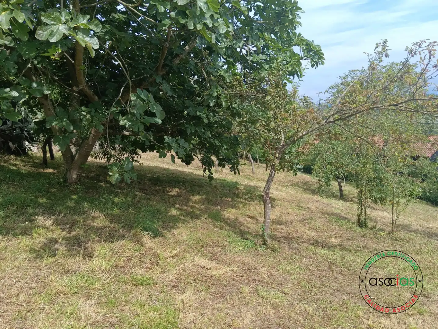 Terreni e lotti in vendita a Careses - Aldea Ordiales, imagen 4