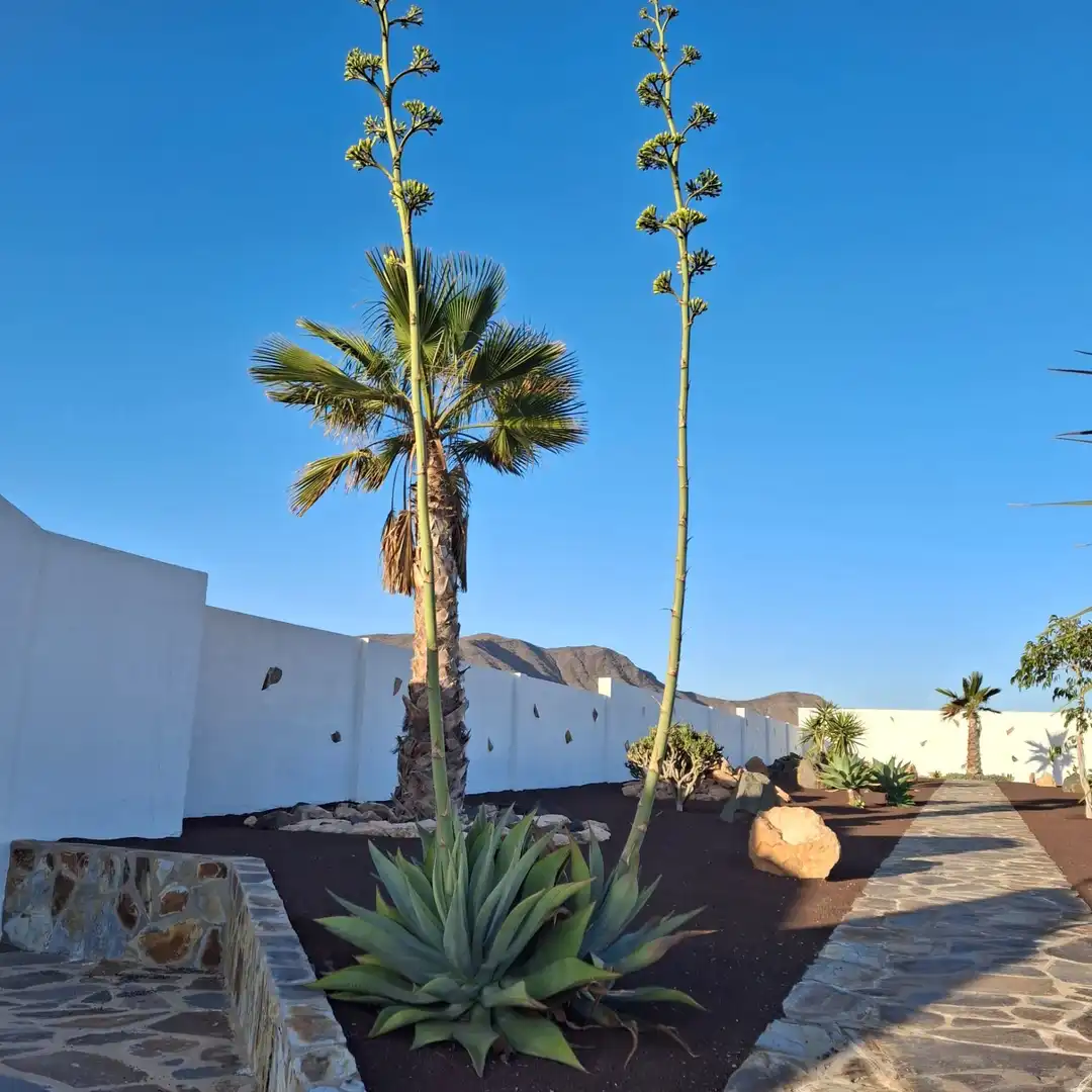 Vista exterior de Casa o chalet en venta en Tuineje con Jardín privado, Terraza y Trastero