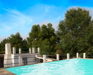 Piscina de Casa o xalet en venda en  Albacete Capital amb Aire condicionat, Calefacció i Jardí privat