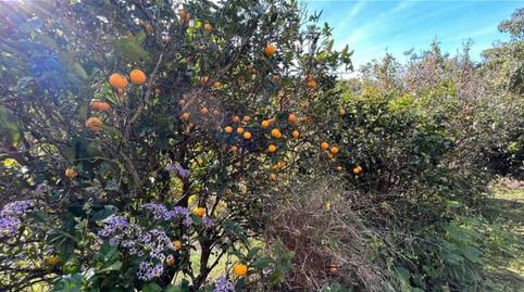 Foto 4 de Residencial en venta en Lugar el Tuneral, 20, San Lorenzo, Las Palmas de Gran Canaria