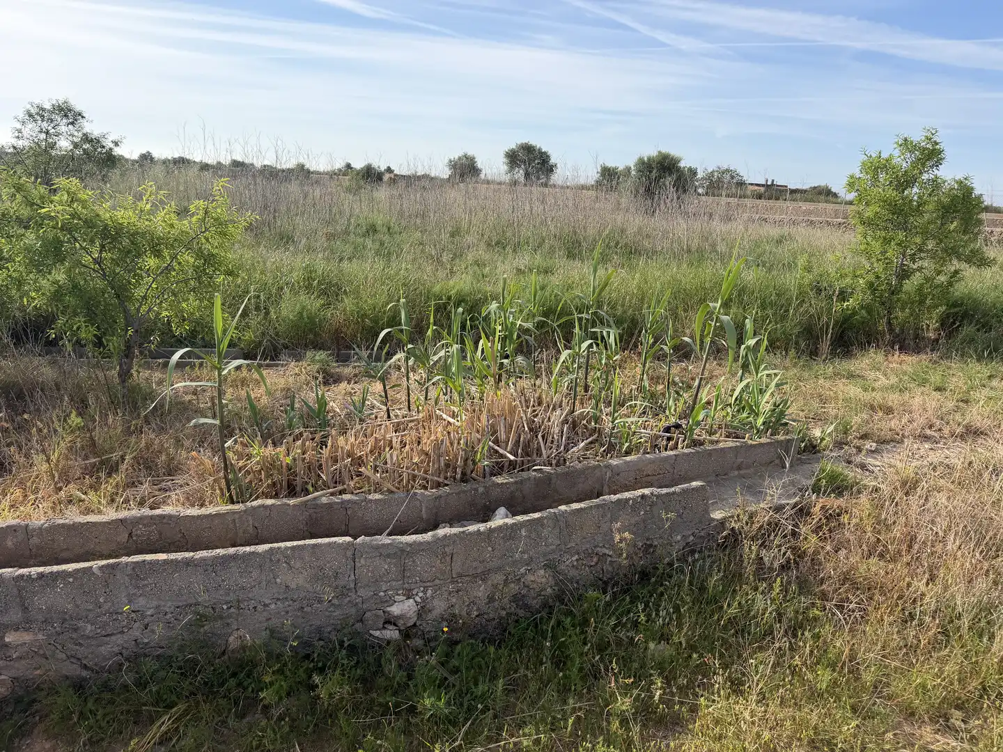Land for sale in Alcossebre