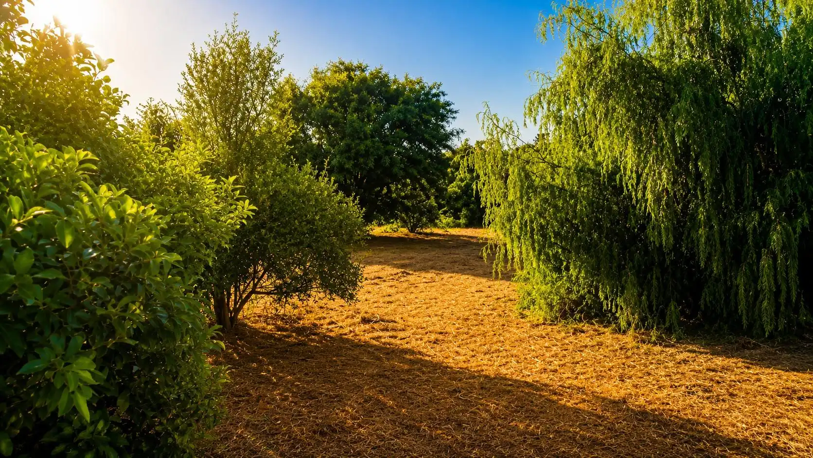Wohnbaugrundstück zum Verkauf in La Banda - Campo de Fútbol, imagen 15