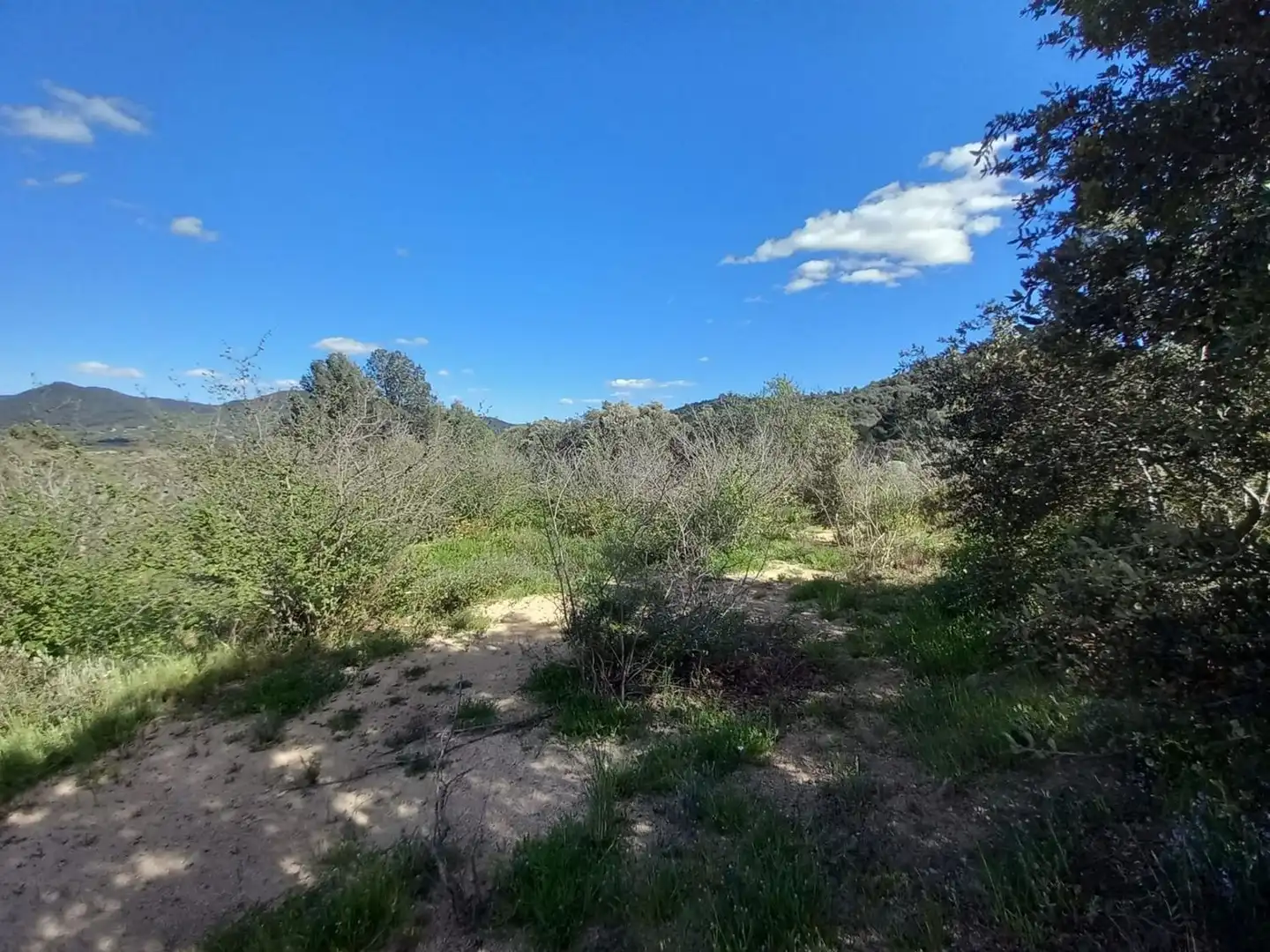 Terreny residencial en venda a T-704, imagen 7
