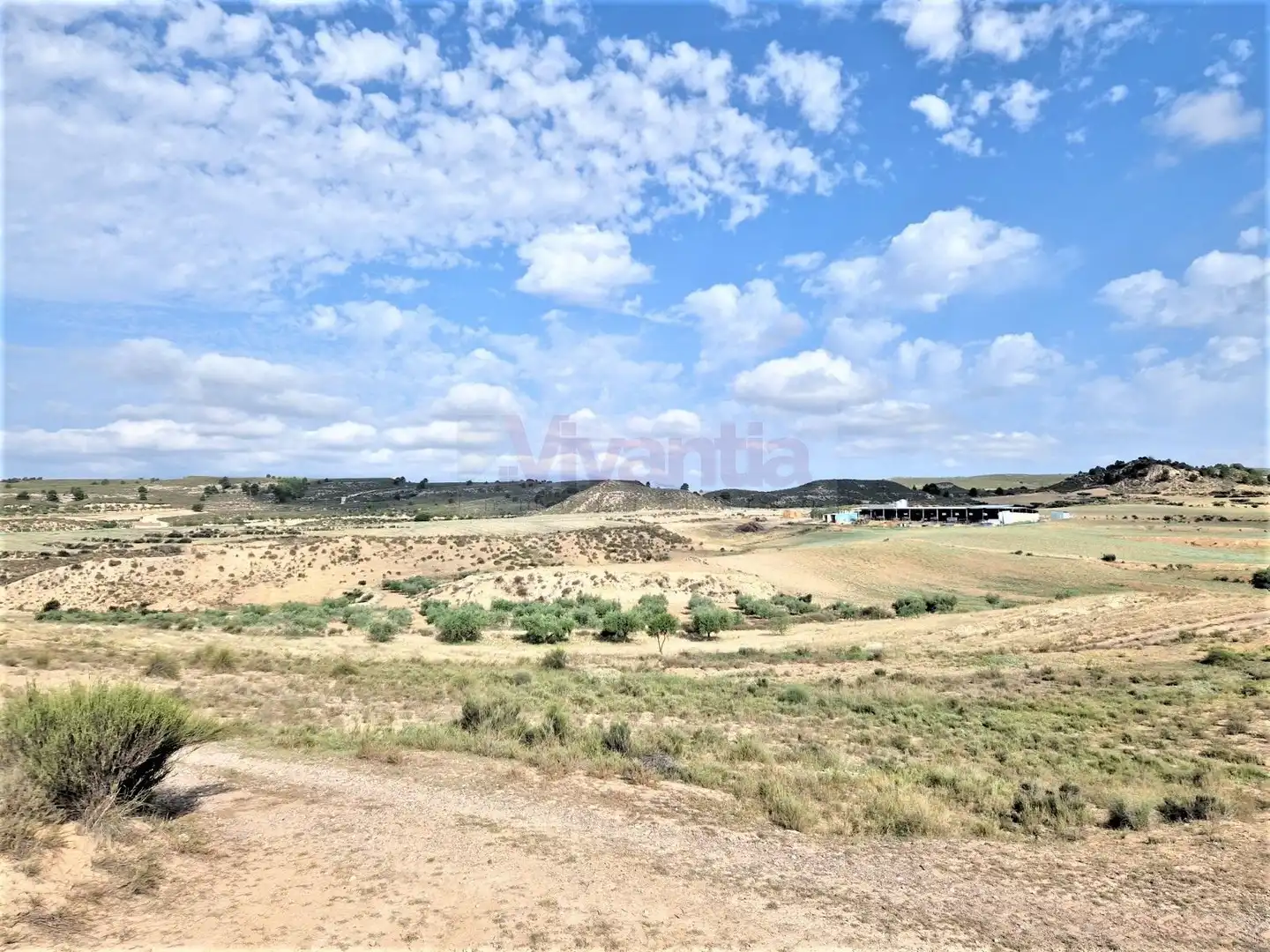 Casa o chalet en venta en Lorca
