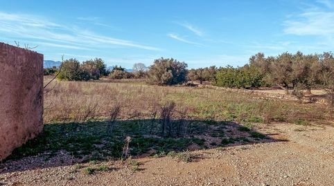 FINCA RUSTICA CON CASETA EN VENTA EN FREGINALS TARRAGONA, immagine 4