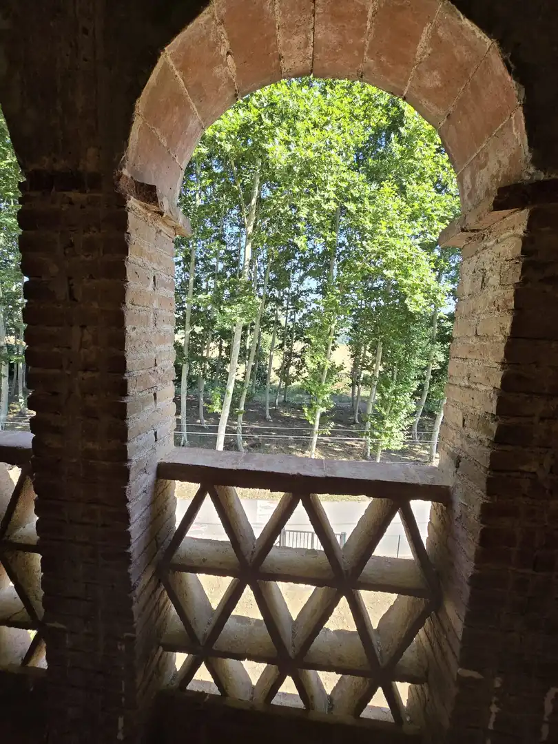Casa rustica in vendita a Sant Gregori, imagen 28