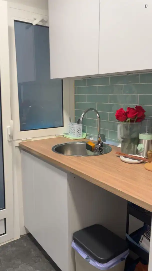 Cocina de Apartamento para compartir en Barcelona con Amueblado, Horno y Lavadora