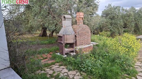 Photo 3 of Houses for sale in Bailén, Jaén