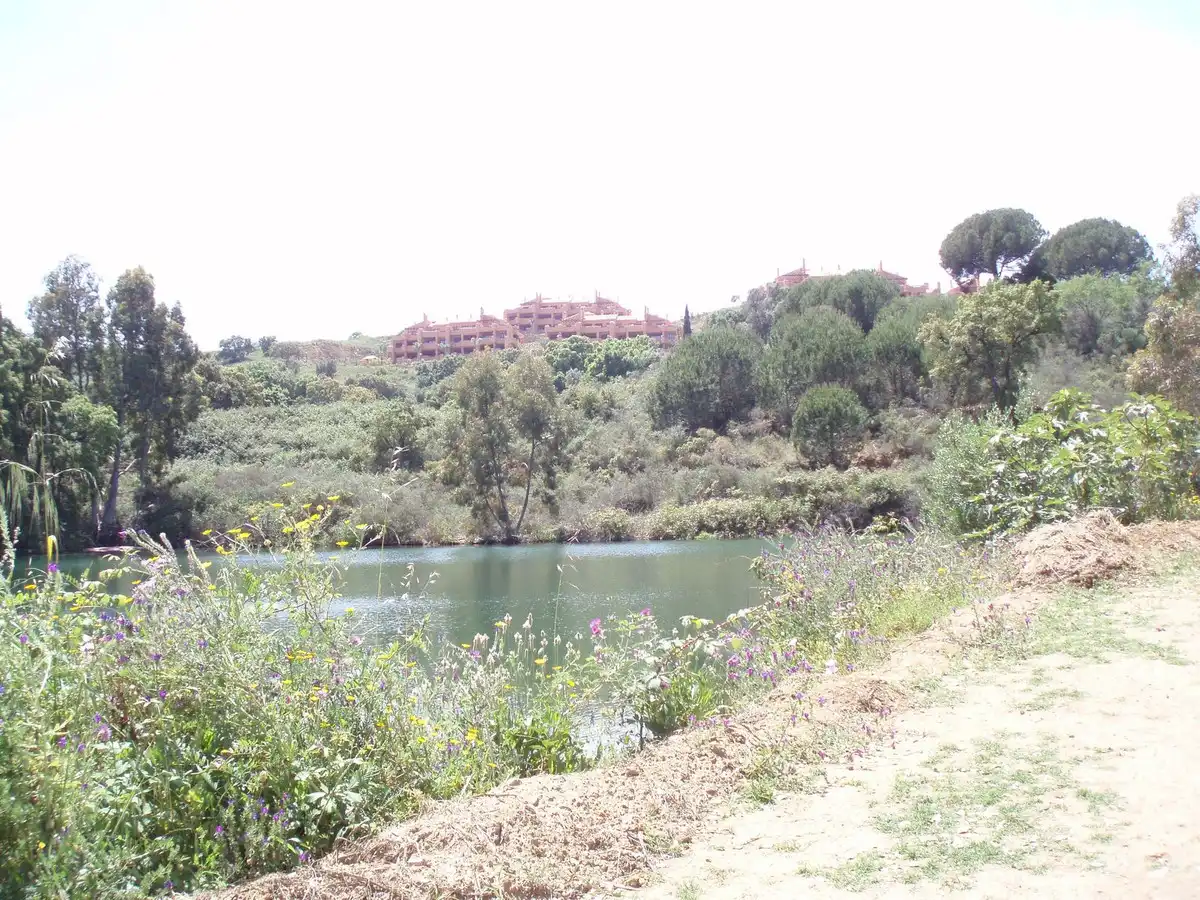 Vista exterior de Residencial en venda en Mijas